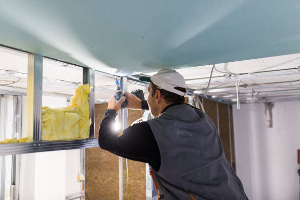 Best Insulation Maintenance and Repair in Spring Hill, FL