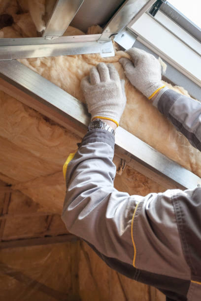 Best Types of Insulation in Spring Hill, FL