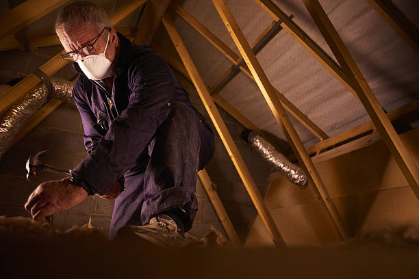 Best Specialty Insulation in Spring Hill, FL